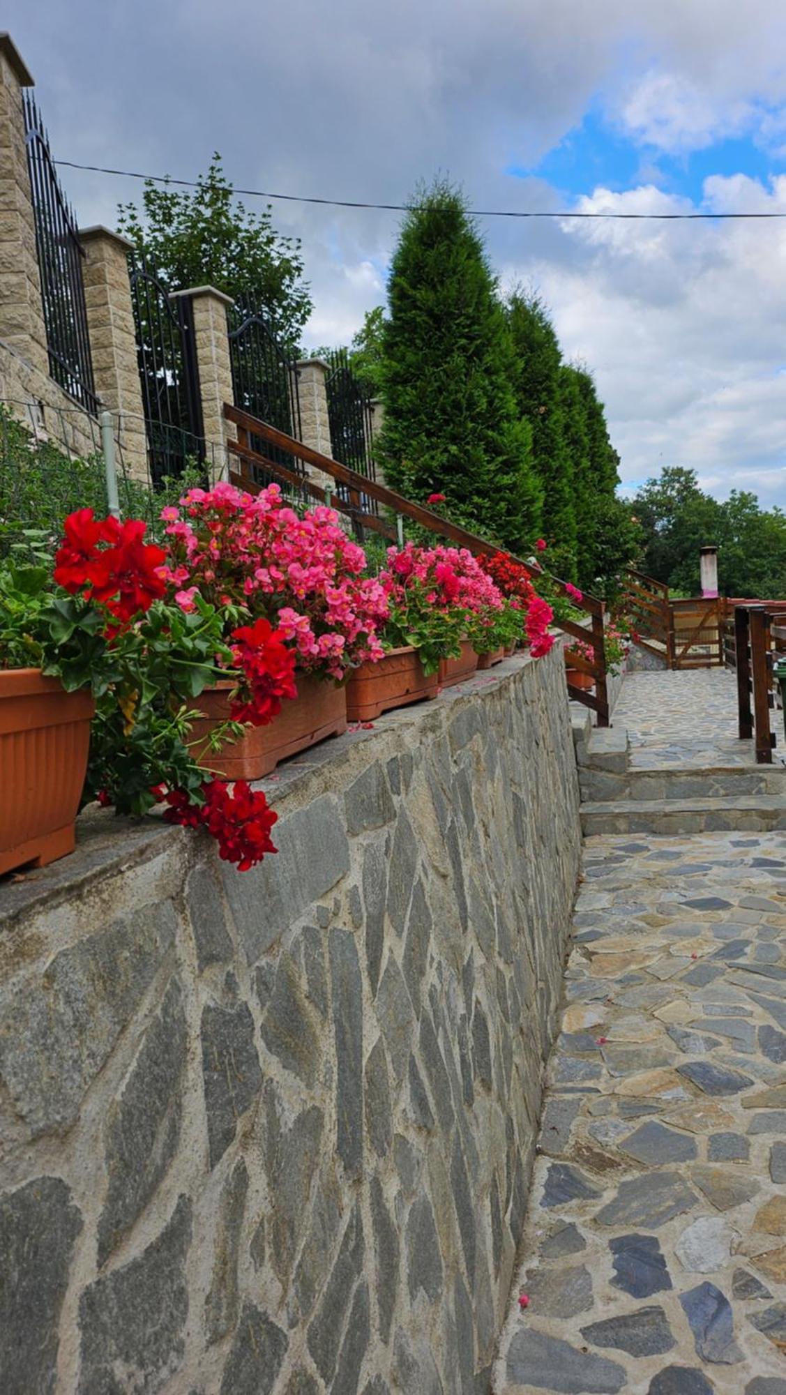 Matei Residence Brașov Exterior foto