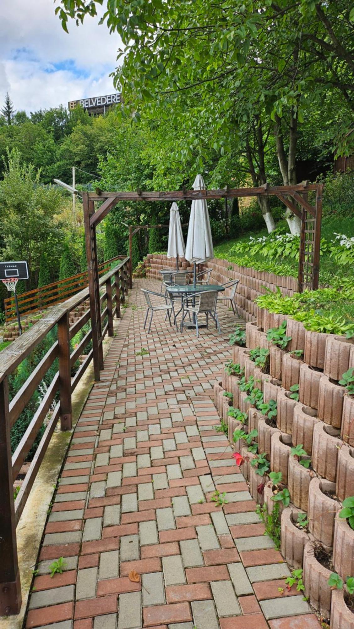 Matei Residence Brașov Exterior foto